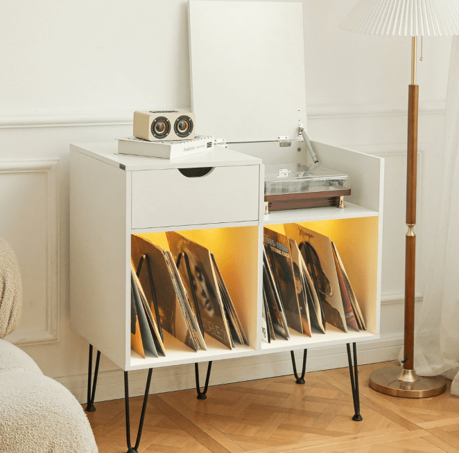 best vinyl record storage