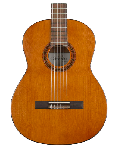 best acoustic guitars under 500