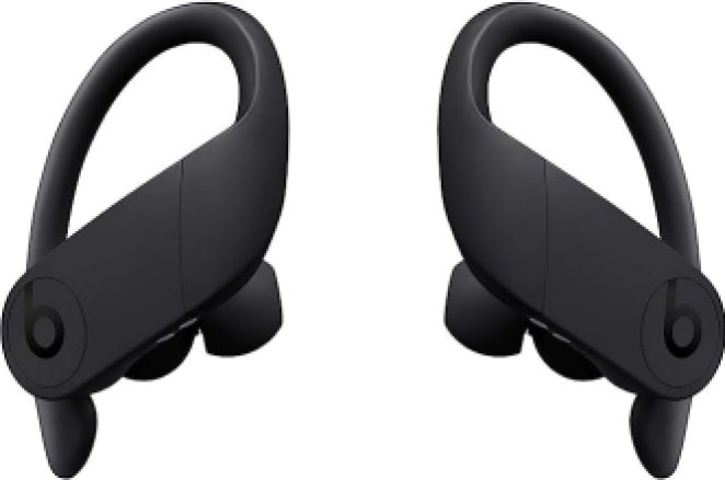 Beats Powerbeats Pro Wireless Earbuds