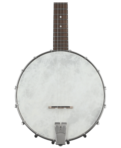 Recording King Dirty 30s Open-back Banjo 