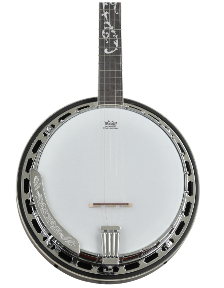 Ibanez B200 5-string Resonator Banjo