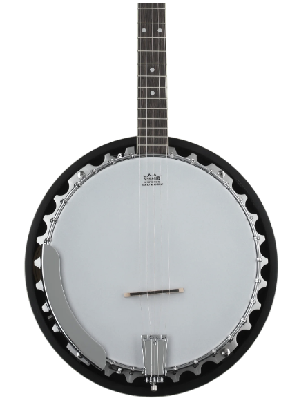 Washburn Americana B9 5-string Open Back Banjo