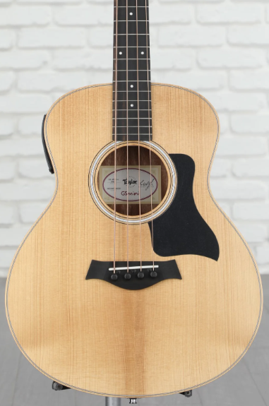 Taylor GS Mini